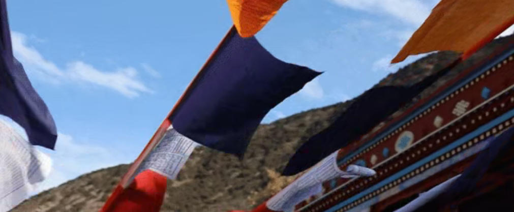 1773300468128621.jpg ScreenShot_2026-03-12_102247_366.jpg